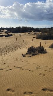 2023-GC--Mapalomas dunas-S123-082.jpg